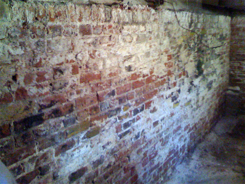 chemical_cleaning_plastering_1.JPG